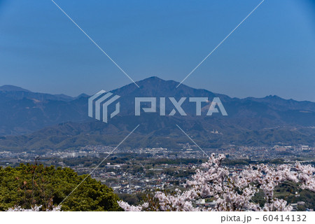 湘南平からの大山 湘南平からの大山 60414132