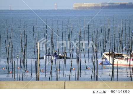 大牟田市　三池港　海苔船、 60414399