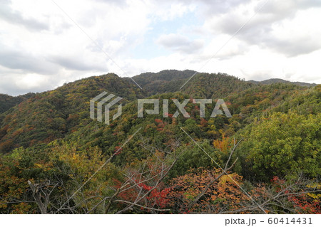 秋の山の風景 60414431