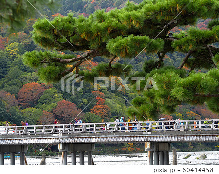 嵐山 渡月橋と桂川 嵐山 渡月橋と桂川 60414458