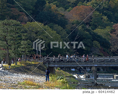 嵐山 渡月橋と桂川のイラスト素材 60414462 Pixta