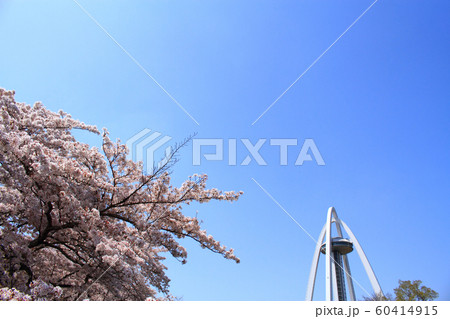 一宮市 ツインアーチ138と桜 一宮市 ツインアーチ138と桜 60414915