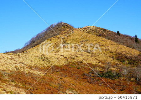 武奈ヶ岳山頂直下の登り 60415871