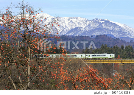 晩秋の磐越西線と雪化粧の飯豊連峰 60416883