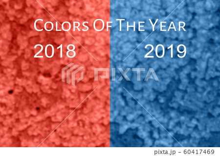 Colors of the years 2019 and 2020 living coral and classic blue on textured blurred background 60417469