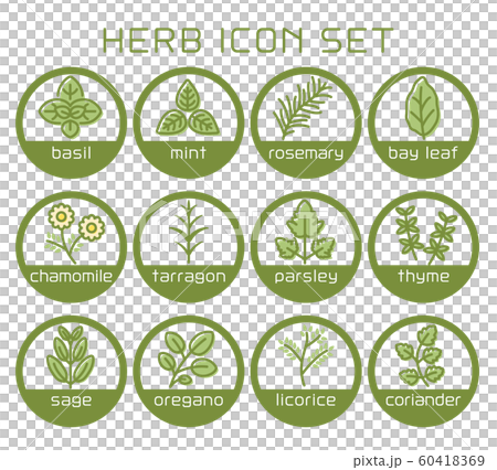 Herb line icon set Herb line icon set 60418369