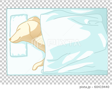 寵物流失 60419440