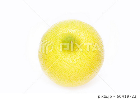 レモン 60419722
