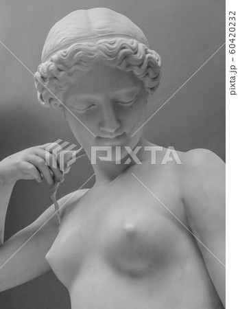 White marble sculpture head of young woman. Statue of sensual renaissance art era naked woman in circlet antique style White marble sculpture head of young woman. Statue of sensual renaissance art era naked woman in circlet antique style 60420232