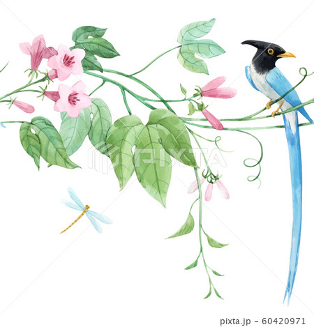 Watercolor vector floral horizontal pattern with blue birds of paradise and pink delicate flowers. White background. Stock illustration. 60420971