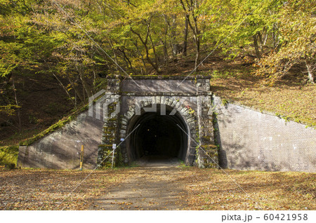 紅葉のめがね橋 トンネル 紅葉のめがね橋 トンネル 60421958