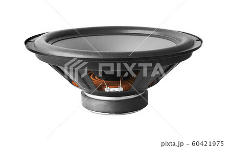 Subwoofer Speaker 60421975