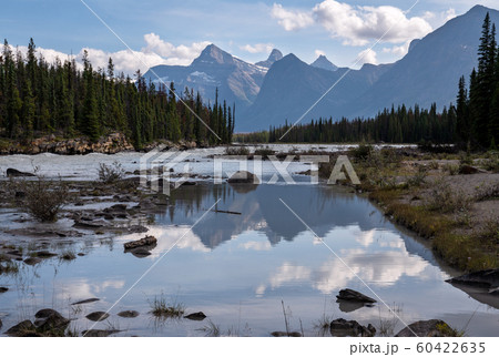 Athabasca River, Jasper National Park, Rocky 60422635