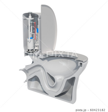 Cross-section of toilet bowl, 3D rendering 60423182