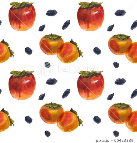 Winter persimmon fruits on a white, watercolor 60423339