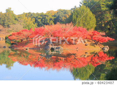 香川県 特別名勝 栗林公園 紅葉 の写真素材