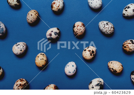Small quail eggs on a blue paper perforated background 60423629