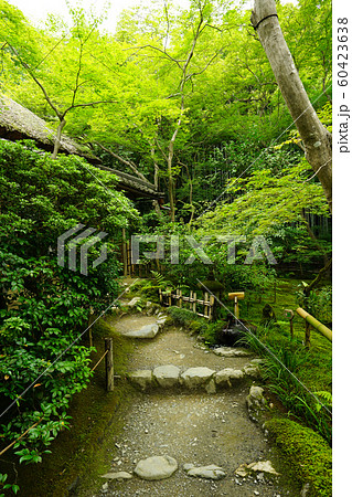 夏の祇王寺＜京都市右京区嵯峨＞ 60423638