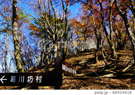 武奈ヶ岳　御殿山コース登山道 60424018