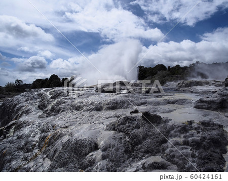 ロトルア テ・プイア ポフツガイザー Pohutu Geyser, Te Puia, Rotorua ロトルア テ・プイア ポフツガイザー Pohutu Geyser, Te Puia, Rotorua 60424161
