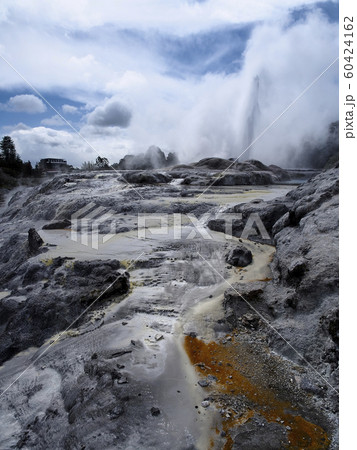 ニュージーランド ロトルア テ・プイア ポフツガイザー 間欠泉 / Pohutu Geyser ニュージーランド ロトルア テ・プイア ポフツガイザー 間欠泉 / Pohutu Geyser 60424162