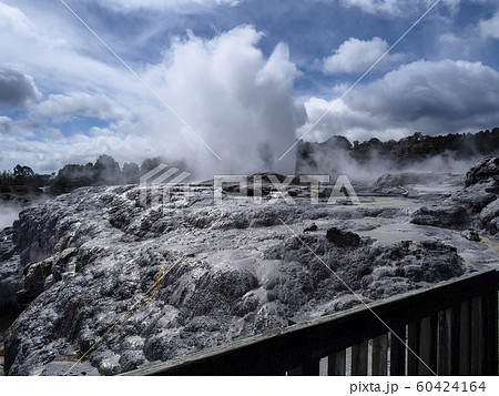 ニュージーランド ロトルア テ・プイア ポフツガイザー 間欠泉 / Pohutu Geyser ニュージーランド ロトルア テ・プイア ポフツガイザー 間欠泉 / Pohutu Geyser 60424164
