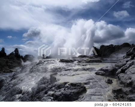 ロトルア テ・プイア ポフツガイザー Pohutu Geyser, Te Puia, Rotorua 60424165