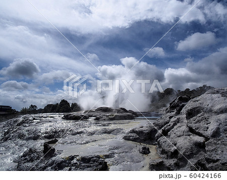 ニュージーランド ロトルア テ・プイア ポフツガイザー 間欠泉 / Pohutu Geyser 60424166