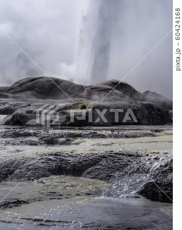ニュージーランド ロトルア テ・プイア ポフツガイザー 間欠泉 / Pohutu Geyser 60424168
