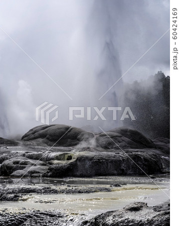 ロトルア テ・プイア ポフツガイザー Pohutu Geyser, Te Puia, Rotorua ロトルア テ・プイア ポフツガイザー Pohutu Geyser, Te Puia, Rotorua 60424169