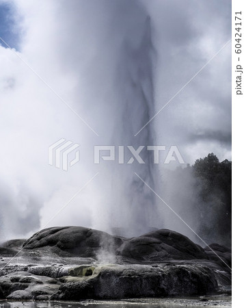 ロトルア テ・プイア ポフツガイザー Pohutu Geyser, Te Puia, Rotorua ロトルア テ・プイア ポフツガイザー Pohutu Geyser, Te Puia, Rotorua 60424171