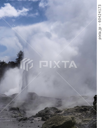 ロトルア テ・プイア ポフツガイザー Pohutu Geyser, Te Puia, Rotorua 60424173