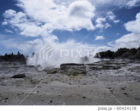 ニュージーランド ロトルア テ・プイア ポフツガイザー 間欠泉 / Pohutu Geyser 60424176