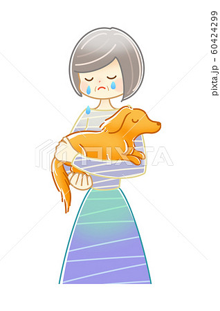 シニア 女性 犬 抱っこのイラスト素材