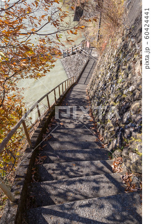 自然豊富な奥多摩湖  東京都とは思えないほど自然の宝庫です。 60424441