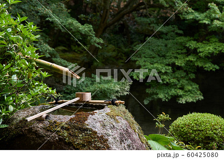夏の京都の寺院（詩仙堂） 60425080
