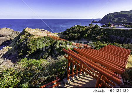 元乃隅神社 元乃隅稲成神社 山口県長門市 元乃隅神社 元乃隅稲成神社 山口県長門市 60425480