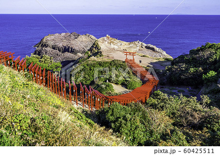 元乃隅神社 元乃隅稲成神社 山口県長門市 元乃隅神社 元乃隅稲成神社 山口県長門市 60425511