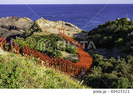 元乃隅神社　元乃隅稲成神社　山口県長門市 60425521
