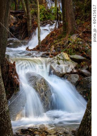 Abounding mountain stream in Spanish mountain Abounding mountain stream in Spanish mountain 60425617