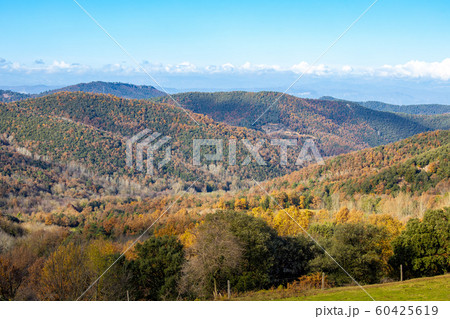 Colorful autumn forest in a Spanish mountain Colorful autumn forest in a Spanish mountain 60425619