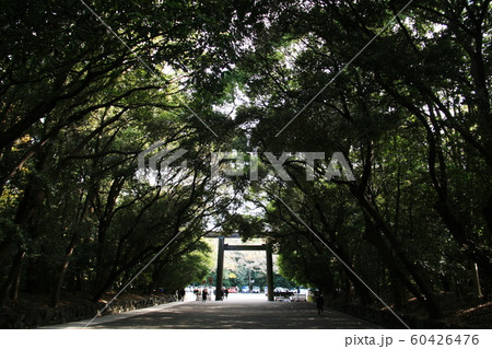 日本の秋　名古屋　熱田神社参道 60426476