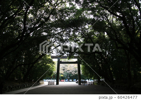 日本の秋　名古屋　熱田神社参道 60426477