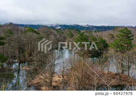 春の中瀬沼 60427976