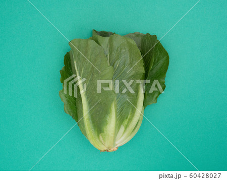 ロメインレタス ロメインレタス 60428027