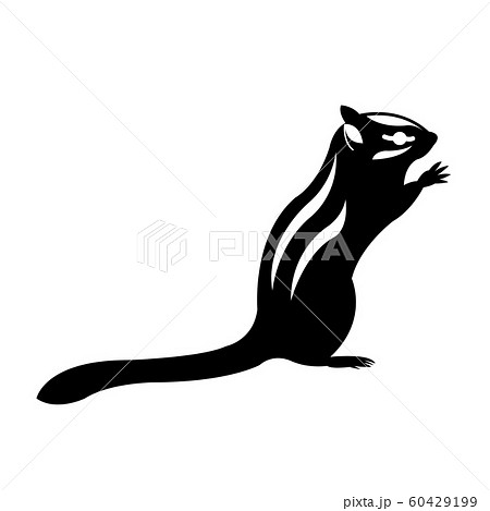 リスのイラスト素材