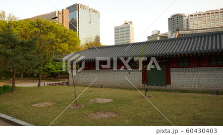徳寿宮 故宮 韓国の風景 60430403