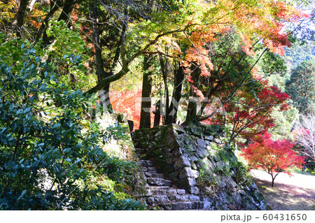 人吉城跡の紅葉 60431650