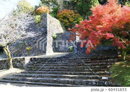 人吉城跡の紅葉 人吉城跡の紅葉 60431655