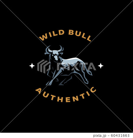 Muscular Bull with horns. Muscular Bull with horns. 60431663